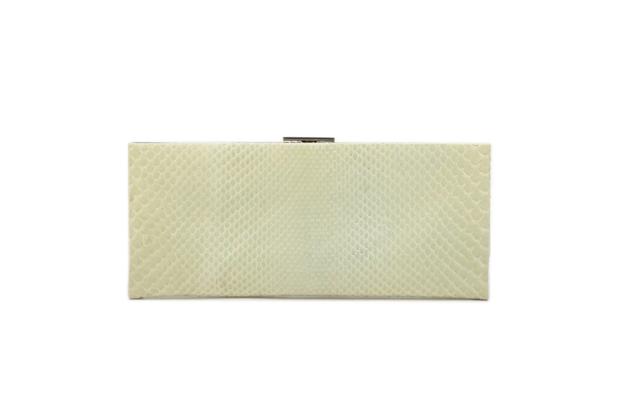 Calvin Klein - Mint Green and Blue Snakeskin Clutch