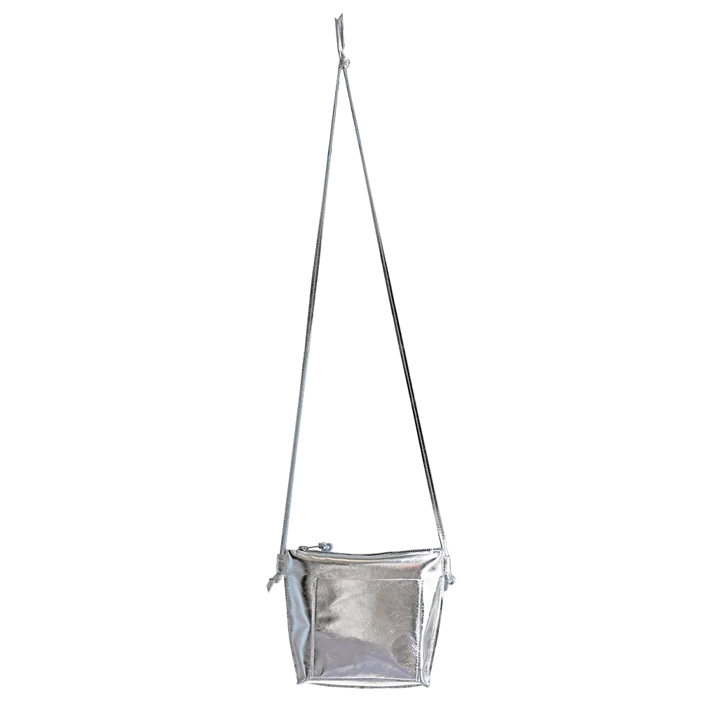 Diana Crossbody Bag in Metallic Silver